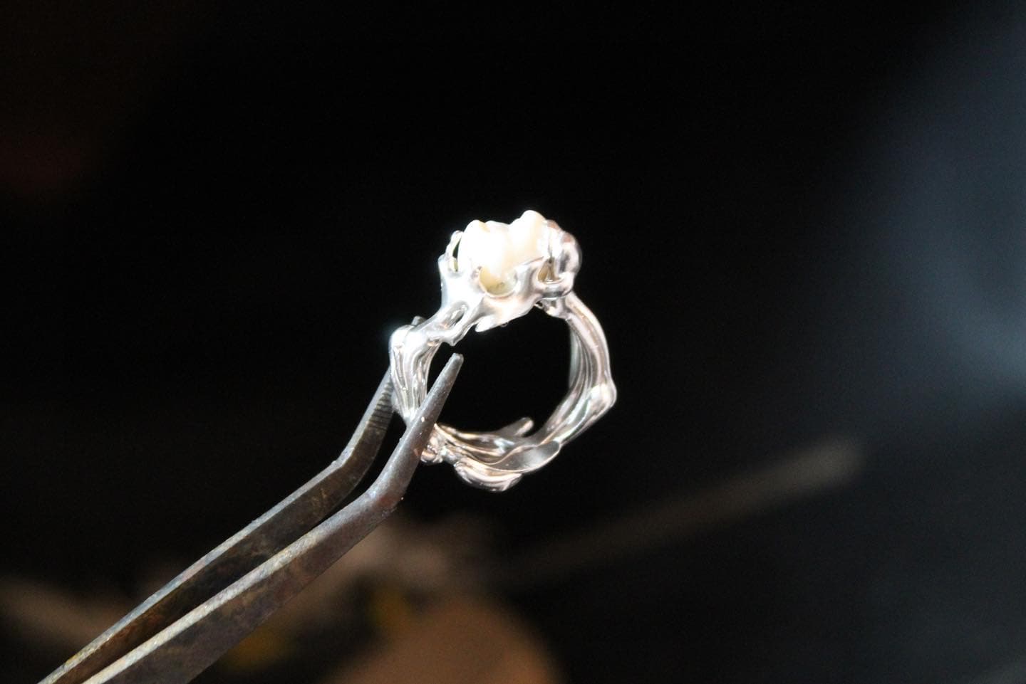 Tooth